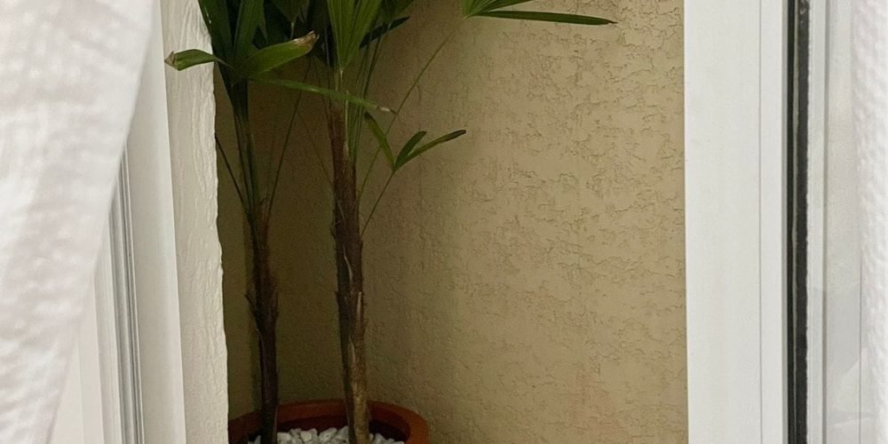 400063338_705121078429900_7201246876531196851_n